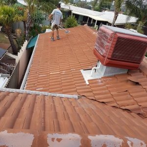 roof-painter